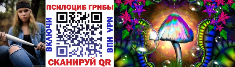 Купить  Славск  Галлюциногенные грибы мухоморы 